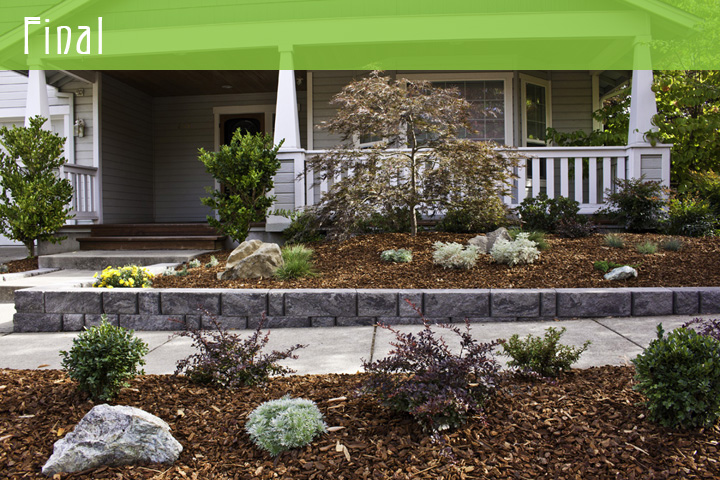 Final landscape design for the garden